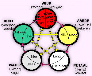 Introductieworkshop Do-In yoga - VOL- wachtlijst