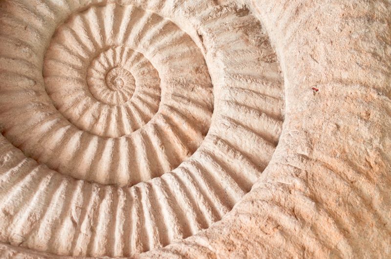 Van vakantie naar dagelijks leven: neem de ruimte mee